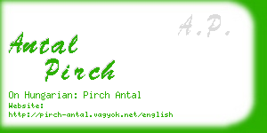 antal pirch business card